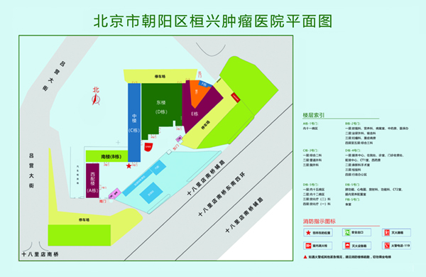 掰开逼操北京市朝阳区桓兴肿瘤医院平面图